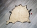 Buffalo Hide: #1: Gallery Item - 149-1-G4881 (Y1JRH)