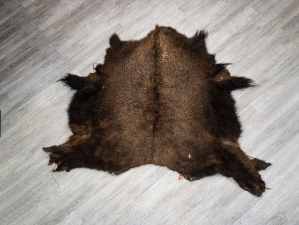 Buffalo Hide: #1: Gallery Item 
