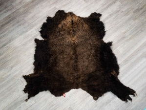 Buffalo Hide: #1: Gallery Item 