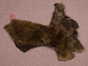 Craft Grade Buffalo Hide Piece: Gallery Item 