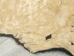 Buffalo Hide: Gallery Item - 149-G4939 (Y1J)