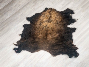 Buffalo Hide: Gallery Item 