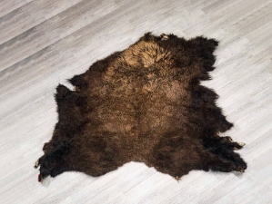 Buffalo Hide: Gallery Item 