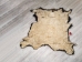 Buffalo Hide: Gallery Item - 149-G4945 (Y2DRL)