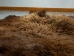 Buffalo Hide: Gallery Item - 149-G4945 (Y2DRL)