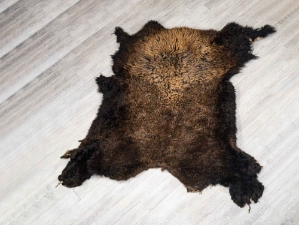 Buffalo Hide: Gallery Item 