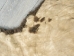 Buffalo Hide: Gallery Item - 149-G4946 (Y1J)