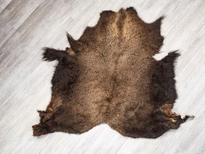 Buffalo Hide: Gallery Item 