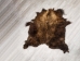 Buffalo Hide: Gallery Item - 149-G4947 (Y1JRH)