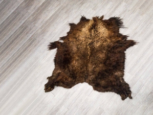 Buffalo Hide: Gallery Item 