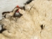 Buffalo Hide: Gallery Item - 149-G4950 (Y2DRR)