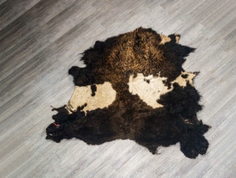 Buffalo Hide: Gallery Item 