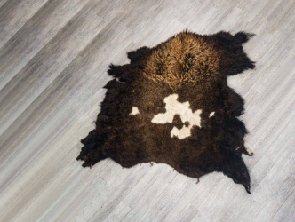 Buffalo Hide: Gallery Item 