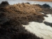 Buffalo Hide: Gallery Item - 149-G4954 (Y2DRE)
