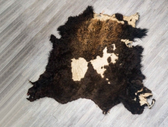 Buffalo Hide: Gallery Item 
