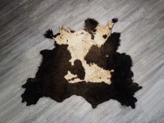 Buffalo Hide: Reject: Gallery Item 