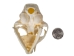 Domesticated House Cat Skull: Gallery Item - 15-235-G6356 (Y2KC15)