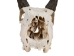 Weathered Nilgai Skull: #2: Gallery Item - 15-243-W2-G08 (Y2NRG)