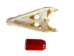 Nile Crocodile Skull: Gallery Item - 15-4NC-G6417 (Y3LRW)