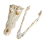 Nile Crocodile Skull: Gallery Item - 15-4NC-G6417 (Y3LRW)