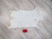 Springbok Skin: #2: Grade A: Gallery Item - 155-2A-G4884 (Y1FRF)