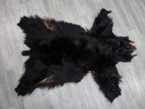Black Bear Skin without Claws: Gallery Item 