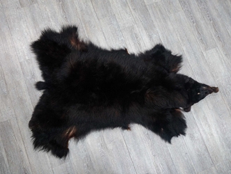 Black Bear Skin without Claws: Gallery Item 