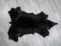 Black Bear Skin without Claws: Gallery Item 