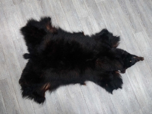 Black Bear Skin without Claws: Gallery Item 