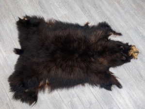 Black Bear Skin without Claws: Gallery Item 