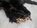 Black Bear Skin with Claws: Gallery Item - 175-30-G6269 (10UF)