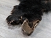 Black Bear Skin with Claws: Gallery Item - 175-30-G6272 (10UF)