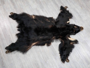 Black Bear Skin with Claws: Gallery Item 