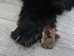 Black Bear Skin with Claws: Gallery Item - 175-30-G6273 (10UF)