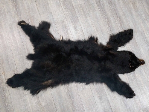 Black Bear Skin with Claws: Gallery Item 