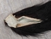 Tanned Icelandic Horse Tail: Gallery Item - 18-06VT-G6298 (10UBR2)