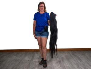 Tanned Icelandic Horse Tail: Gallery Item 