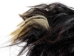 Yak Tail: Black: Gallery Item - 18-21BK-G7490 (Y1HRF)