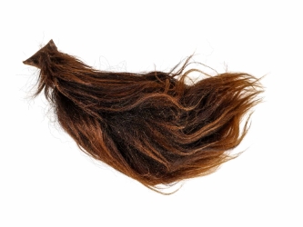 Yak Tail: Brown: Gallery Item 
