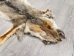 Argentine Gray Fox Skin: Gallery Item - 180-00-G6005 (Y1LRC)