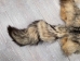 Argentine Gray Fox Skin: Gallery Item - 180-00-G6006 (Y1LRC)