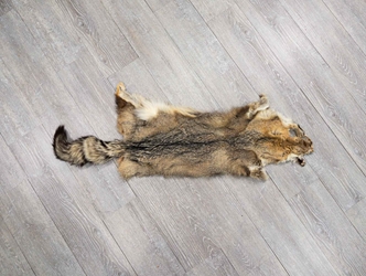 Argentine Gray Fox Skin: Gallery Item 