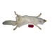Taxidermy Quality Arctic Fox Skin: Large: Gallery Item - 180-02-TAX-G6115 (Y2KWR)