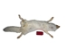 Taxidermy Quality Arctic Fox Skin: Large: Gallery Item - 180-02-TAX-G6115 (9UZ)