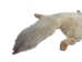 Taxidermy Quality Arctic Fox Skin: Large: Gallery Item - 180-02-TAX-G6115 (Y2KWR)