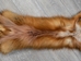 Taxidermy Quality Red Fox Skin: Gallery Item - 180-03-TAX-G6190 (9UZ)