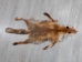 Red Fox Skin with Feet: Gallery Item - 180-03-WF-G2513 (Y2FWR)