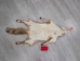 Red Fox Skin with Feet: Gallery Item - 180-03-WF-G2517 (Y2FWR)