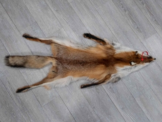 Red Fox Skin with Feet: Gallery Item 