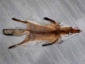 Red Fox Skin with Feet: Gallery Item 